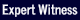 Expert Witness Services