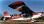 American Champion Aircraft